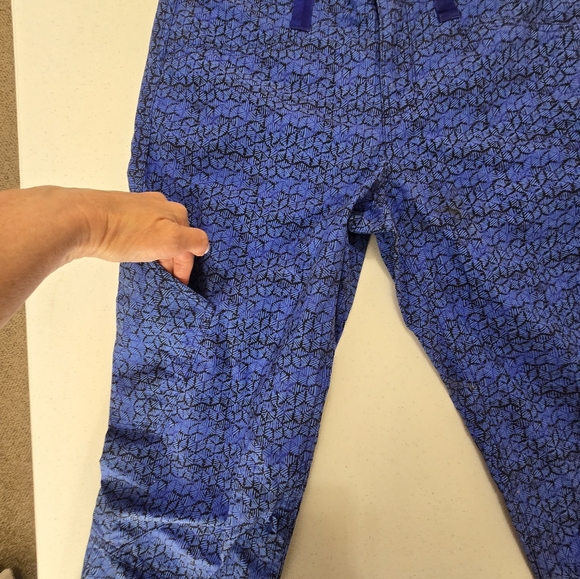 Patagonia Women's Venga Rock Capris Outdoor Blue Hex Batik Cotton Pants Size 10 - Picture 8 of 14